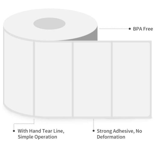 Thermal and Thermal Transfer Labels